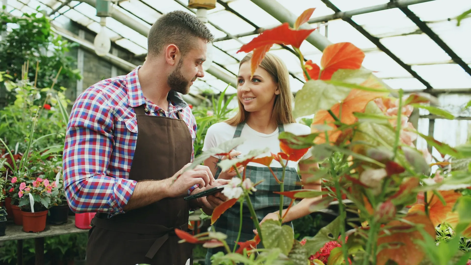 Two landscaping professionals working together in a greenhouse surrounded by plants