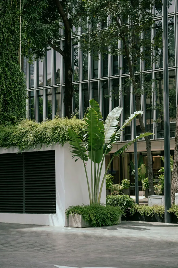 Commercial Complex