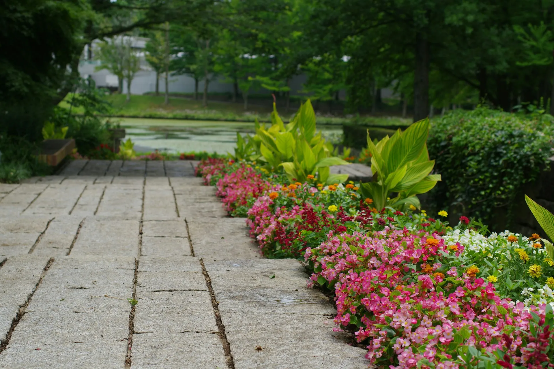 Beautifully maintained garden with blooming flowers and trimmed hedges