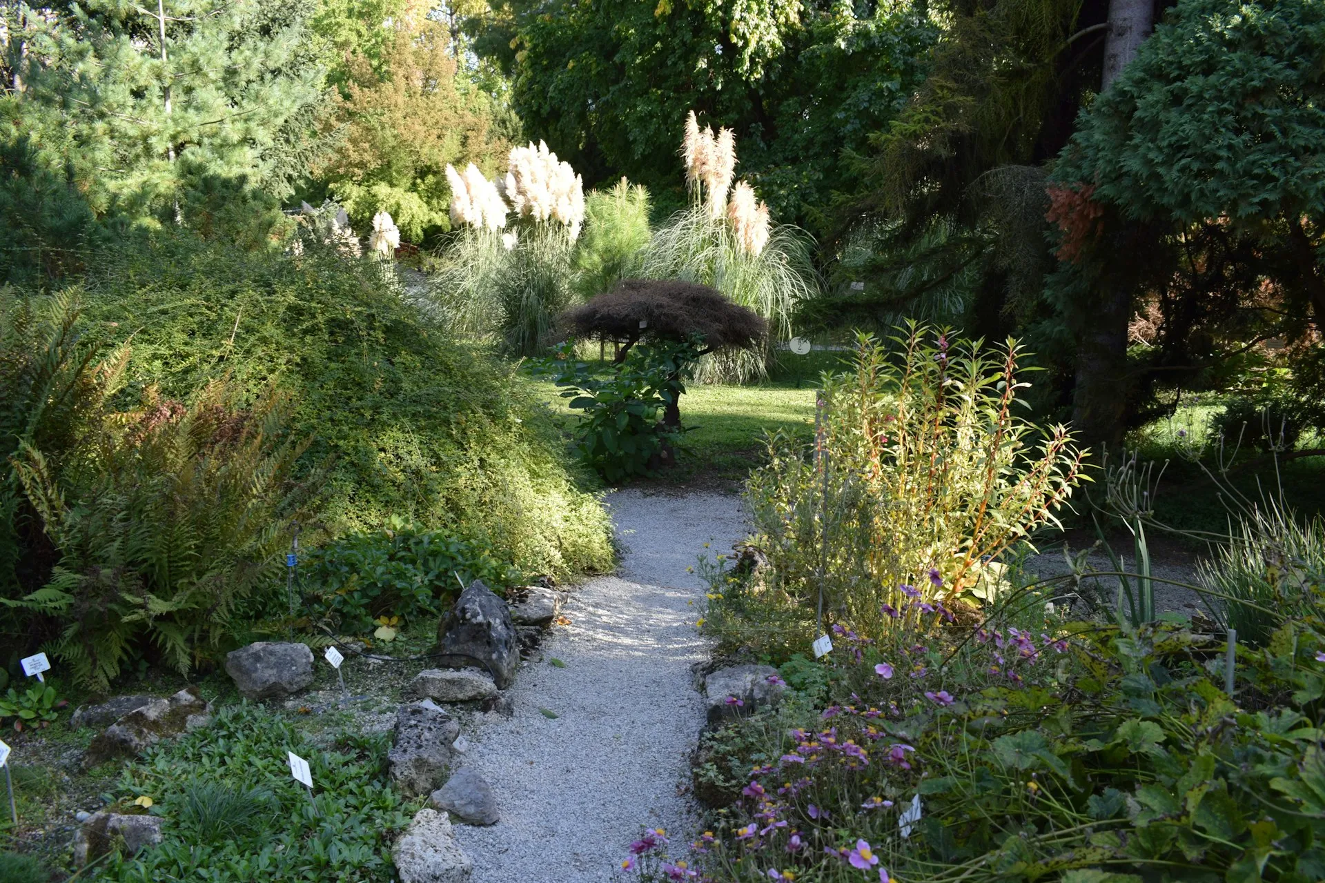 Beautiful garden path lined with colorful flowers and professional landscaping