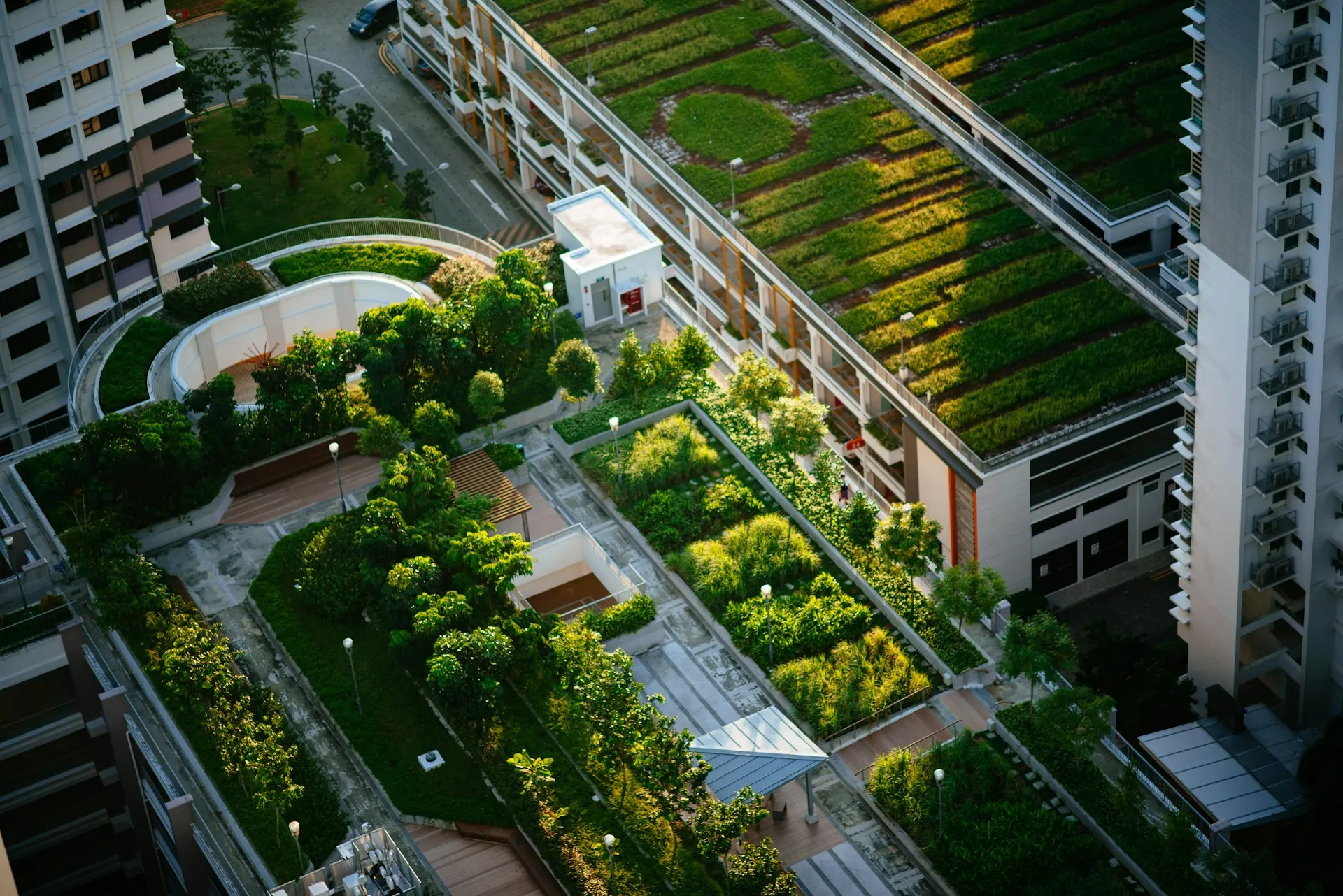 Modern rooftop garden aerial view with lush greenery and wooden deck pathways