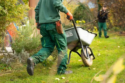 Rubbish Removal