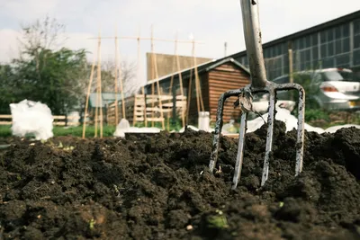 Soil Preparing