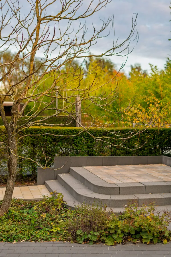 After - Backyard Garden Transformation