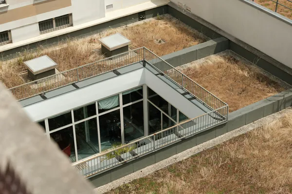 Before - Rooftop Garden Creation